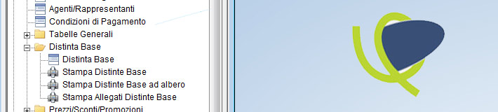 Software contabile