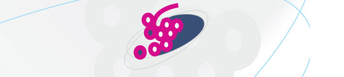 Software gestionale