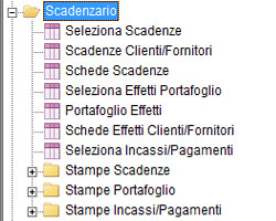 Software integrato di contabilità generale