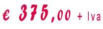 euro 375,00 +Iva