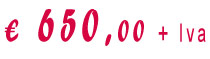 euro 650,00 +Iva